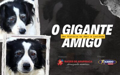 Raízes de Arapiraca conta a emocionante jornada do cachorro Gigante no Hospital de Emergência